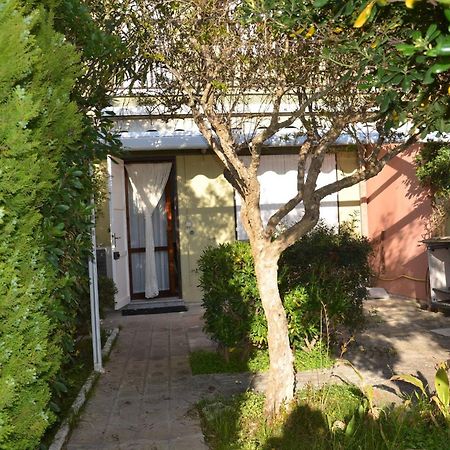Fantastic Sardinia Villette Con Giardino Fronte Mare Fertilia Faho-Gav01-Gav02 외부 사진