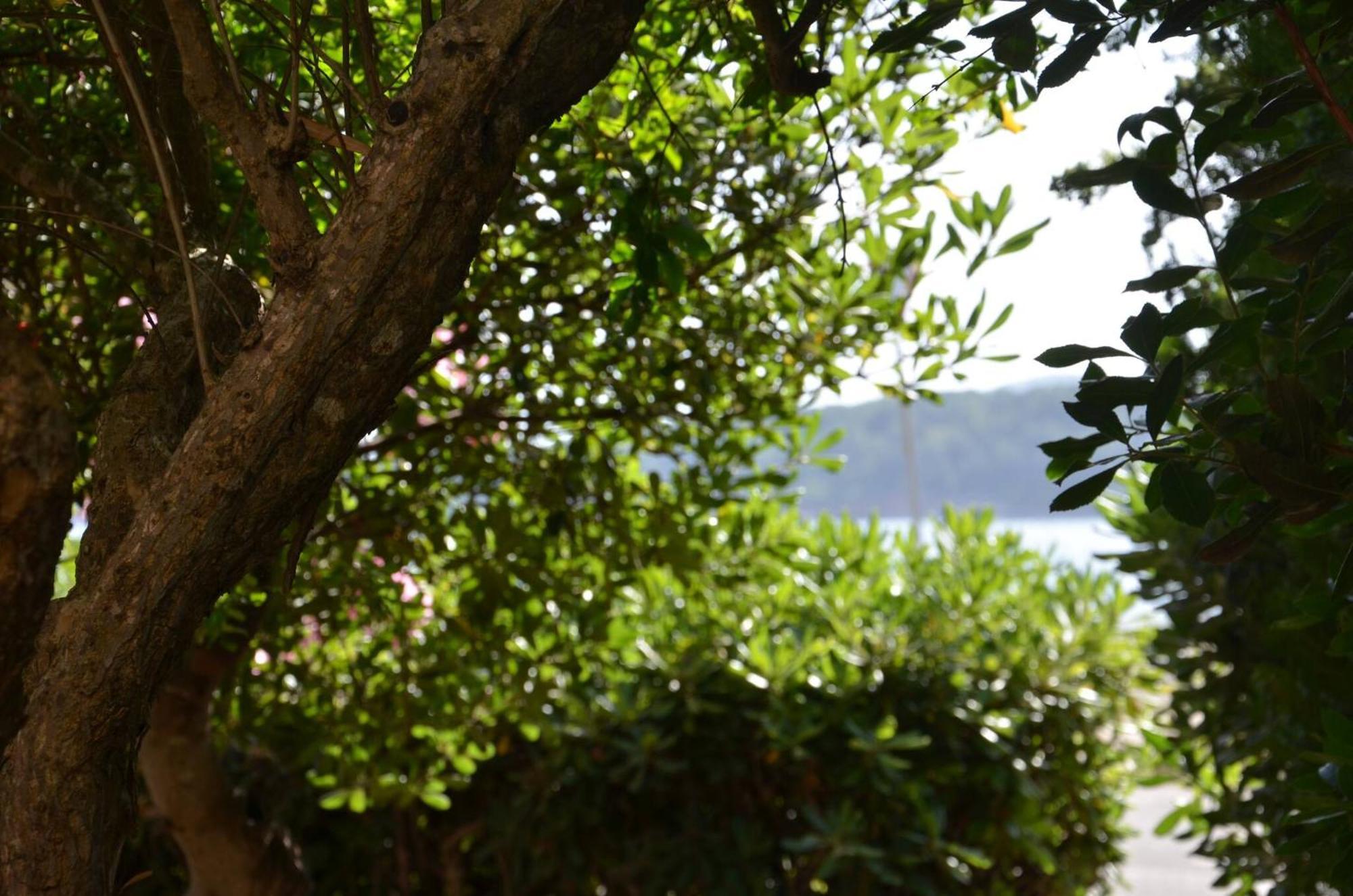 Fantastic Sardinia Villette Con Giardino Fronte Mare Fertilia Faho-Gav01-Gav02 외부 사진