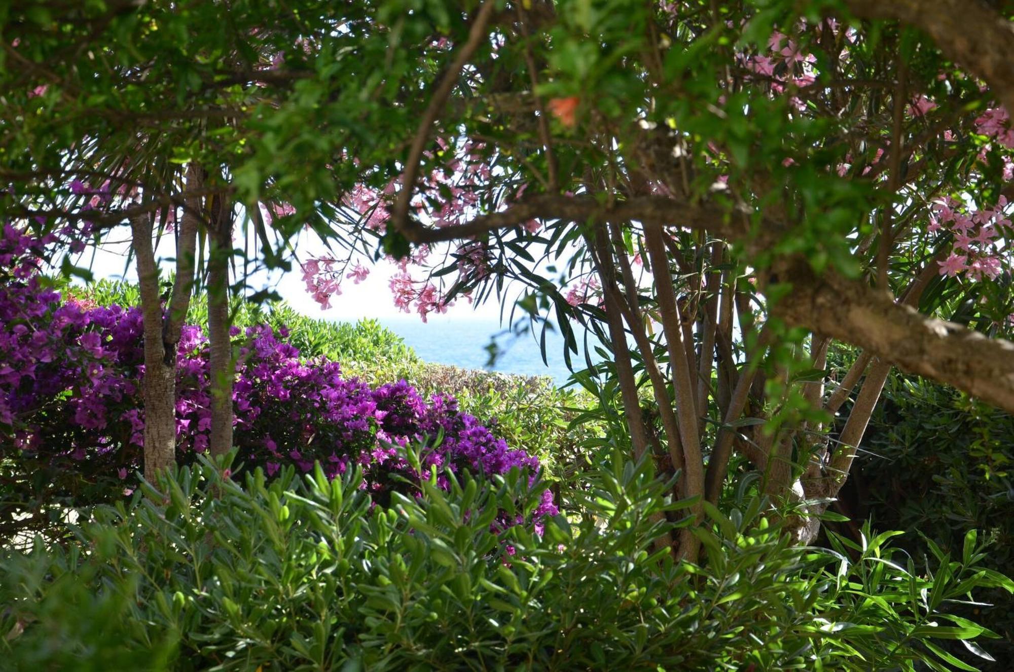 Fantastic Sardinia Villette Con Giardino Fronte Mare Fertilia Faho-Gav01-Gav02 외부 사진