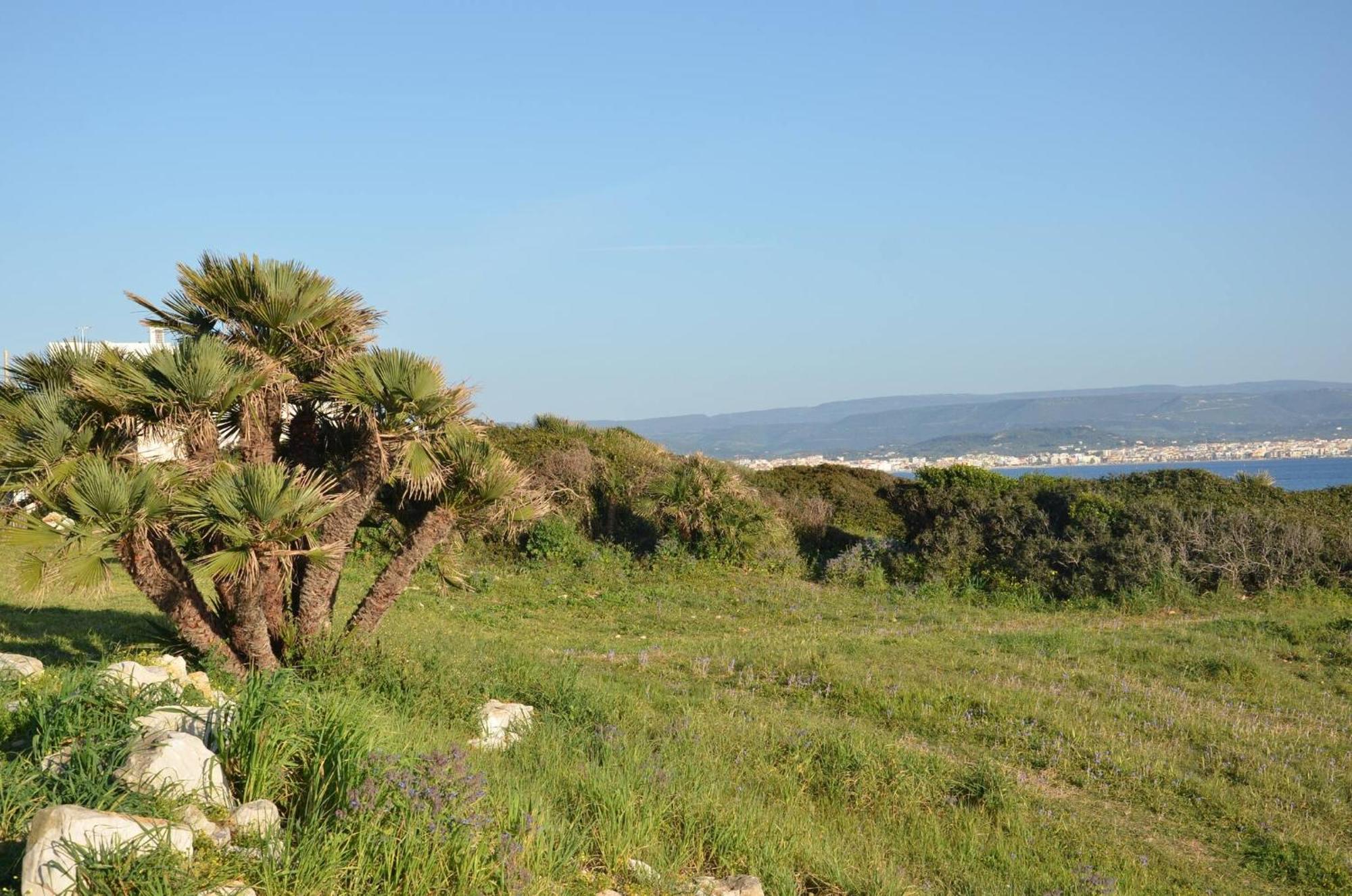 Fantastic Sardinia Villette Con Giardino Fronte Mare Fertilia Faho-Gav01-Gav02 외부 사진