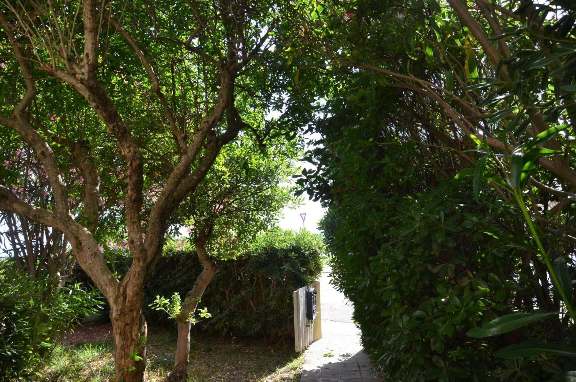 Fantastic Sardinia Villette Con Giardino Fronte Mare Fertilia Faho-Gav01-Gav02 외부 사진