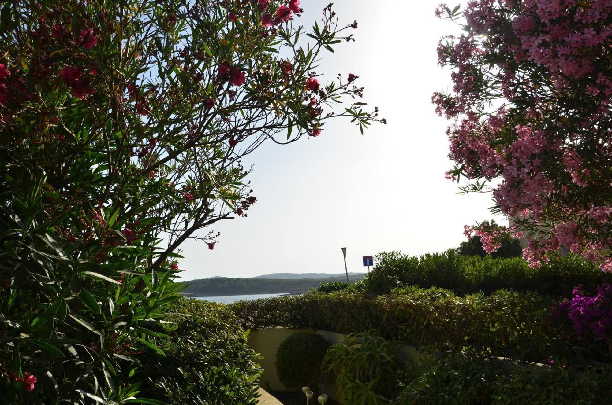 Fantastic Sardinia Villette Con Giardino Fronte Mare Fertilia Faho-Gav01-Gav02 외부 사진