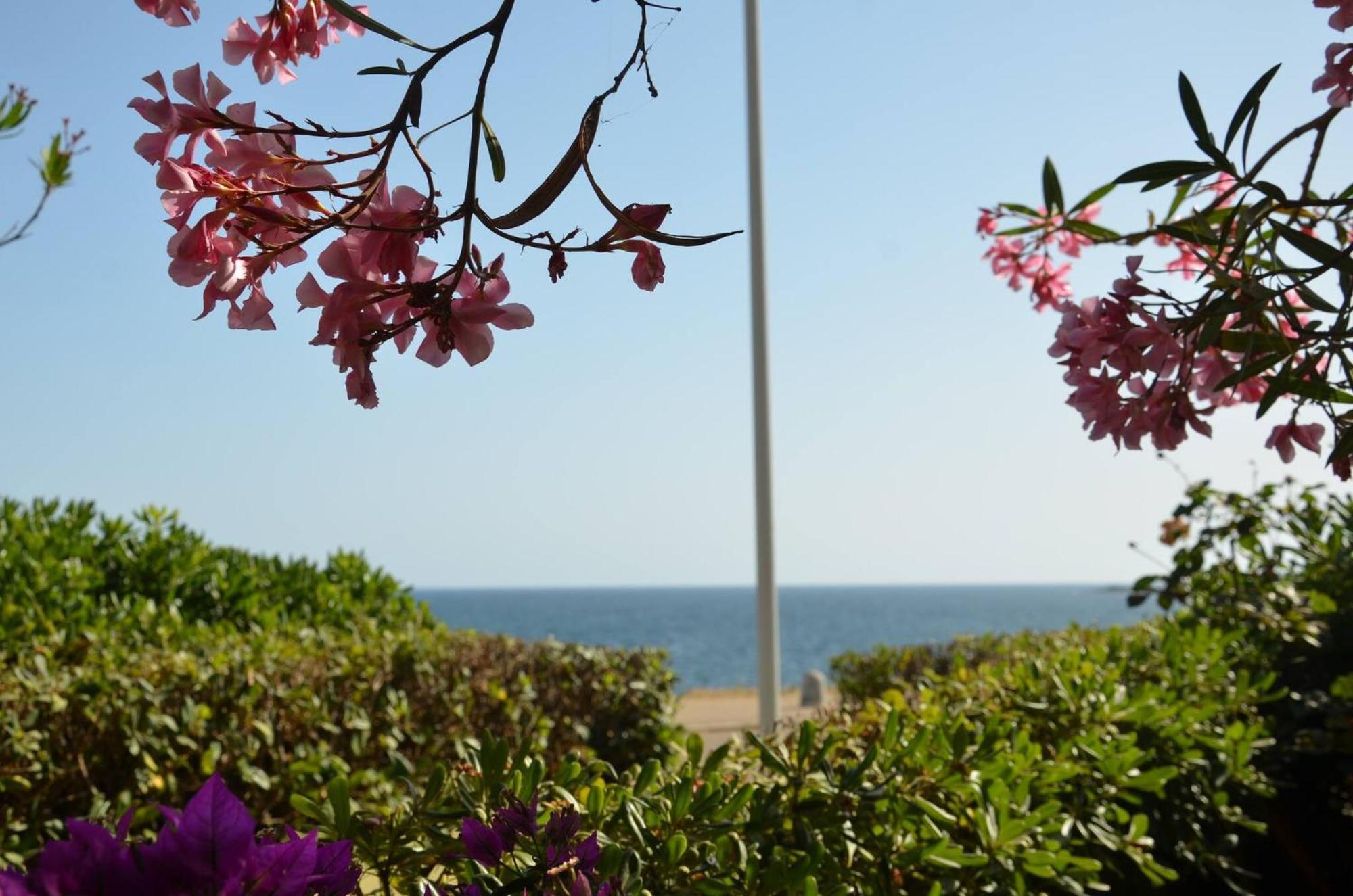 Fantastic Sardinia Villette Con Giardino Fronte Mare Fertilia Faho-Gav01-Gav02 외부 사진