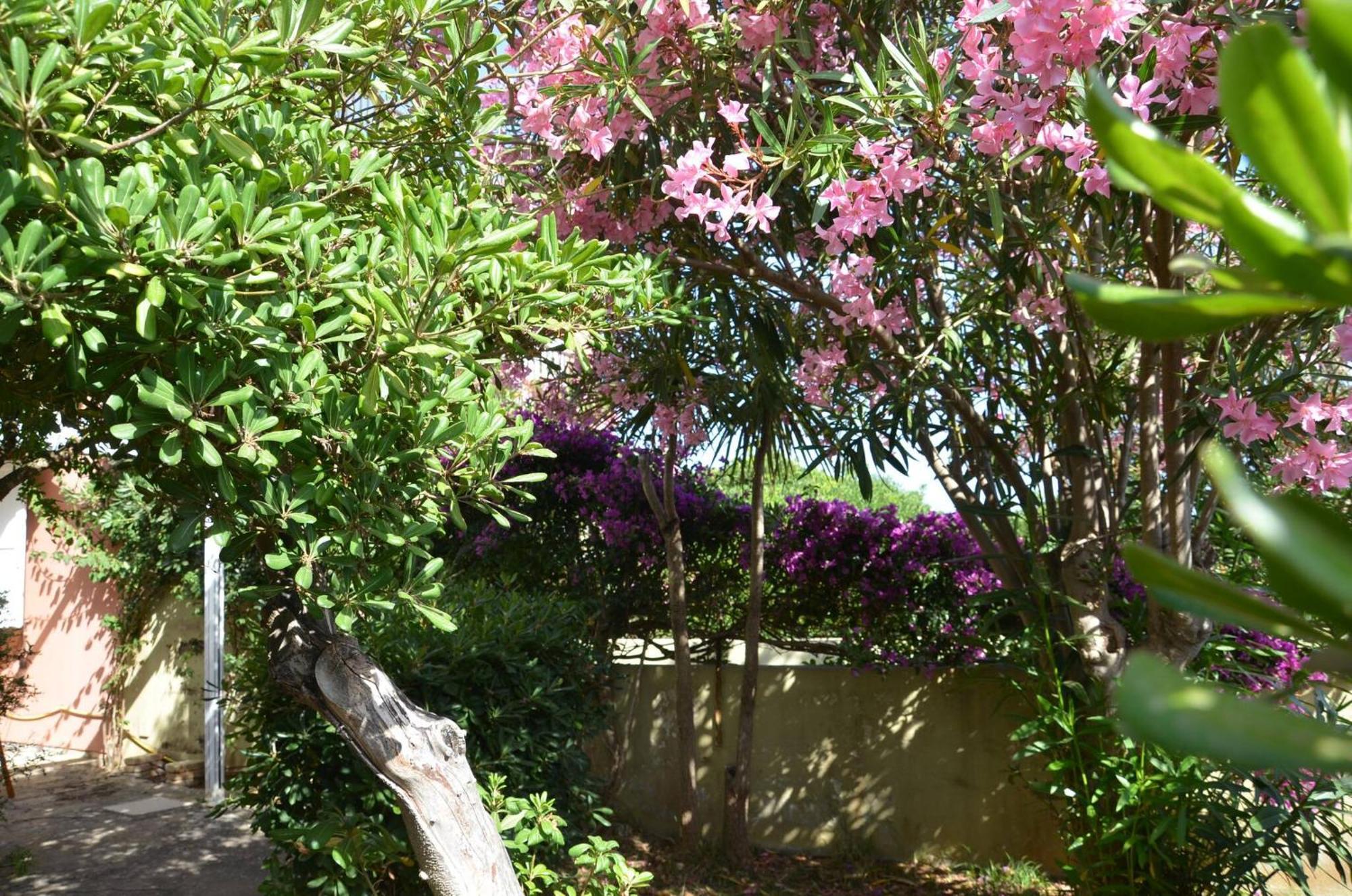 Fantastic Sardinia Villette Con Giardino Fronte Mare Fertilia Faho-Gav01-Gav02 외부 사진