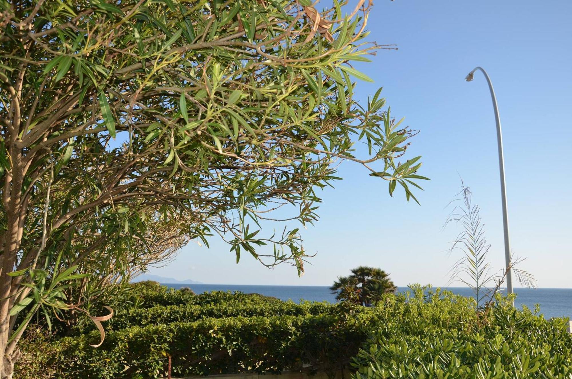 Fantastic Sardinia Villette Con Giardino Fronte Mare Fertilia Faho-Gav01-Gav02 외부 사진