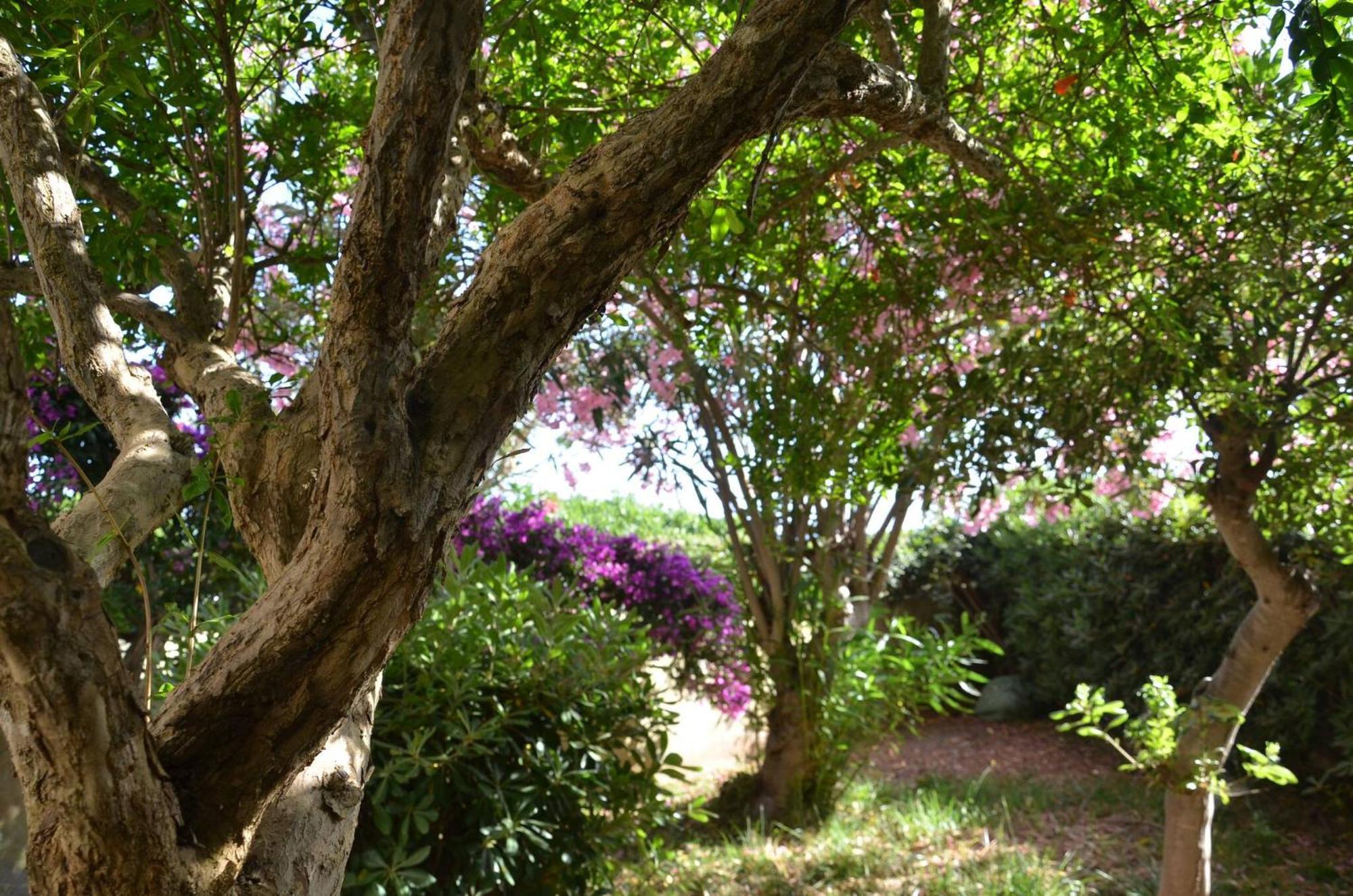Fantastic Sardinia Villette Con Giardino Fronte Mare Fertilia Faho-Gav01-Gav02 외부 사진